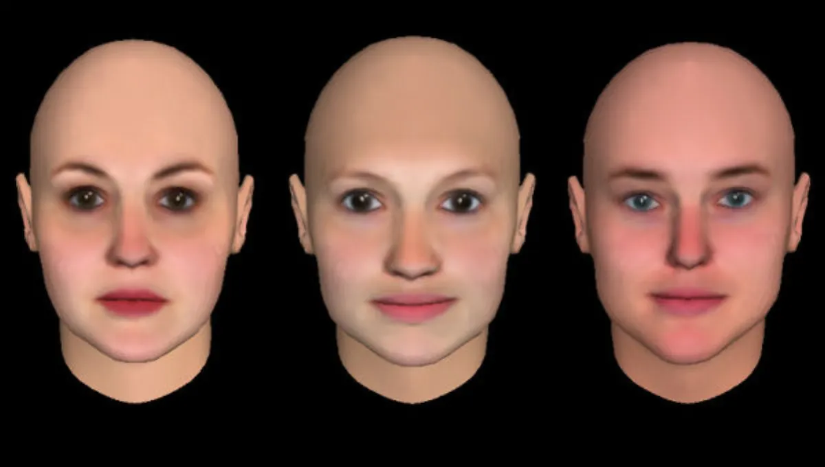 Beer goggles experiment &mdash; three synthesized face stimuli used in the attractiveness study