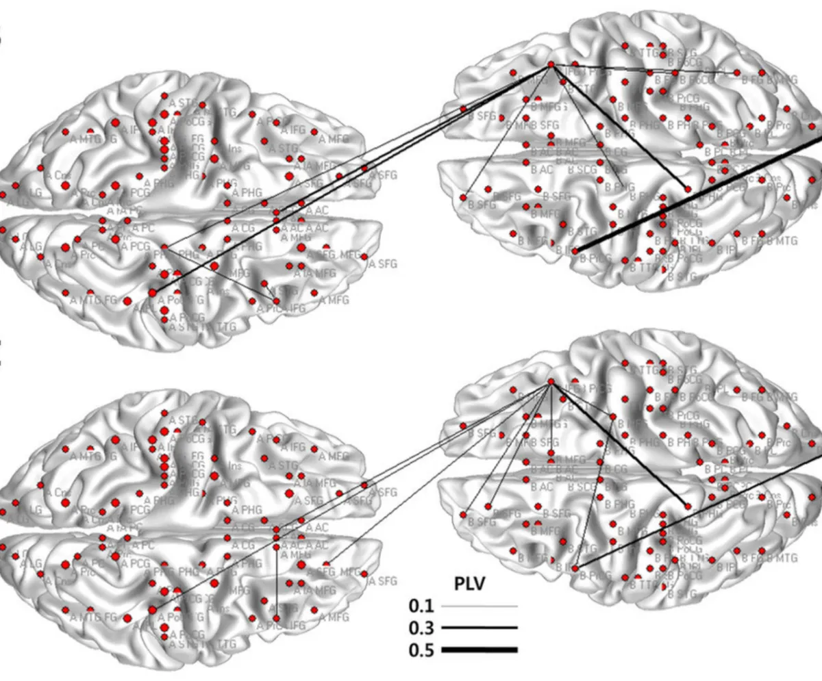 Interpersonal neural synchrony &mdash; brain connectivity (PLV) across hyperscanned participants